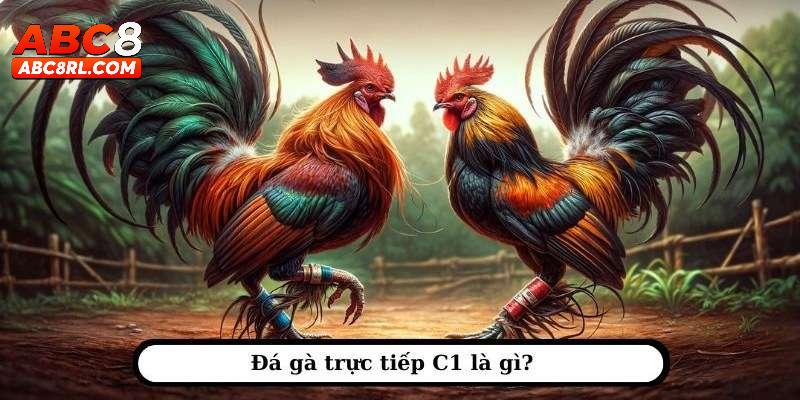 Giới thiệu đôi nét về đá gà C1 tại ABC8